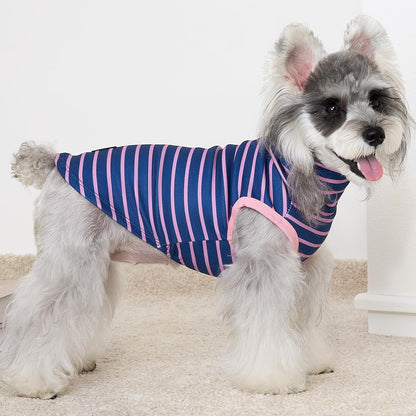 XPUDAC 4 Pack Dog Sweaters Turtleneck Dog Clothes for Small Medium Large Dogs Boy Girl Warm Puppy Vest Shirt Winter Pullover Pet Sweatshirt Outfits, Pink, XL