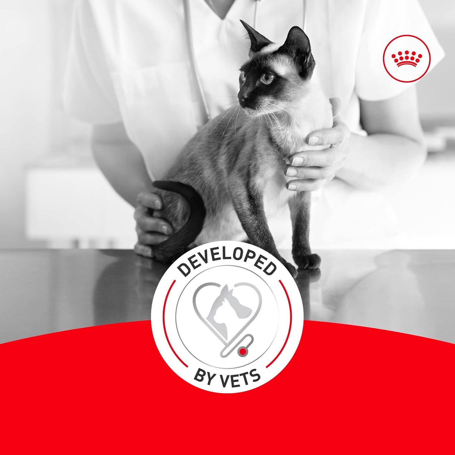 Royal Canin Fussy Dry Cat Food for Adult Cats, Protein-Rich Kibbles for Picky Eaters, Poultry-Based, Supports Healthy Weight and Urinary Health, 7 lb Bag