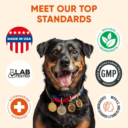 Dog Multivitamin Chews - Glucosamine Chondroitin Vitamin Chewables - 24 in 1 Dog Probiotic Treats for Skin, Joint, Bones, Liver - Immune Support Supplement with Vitamins & Minerals - All Breeds & Ages