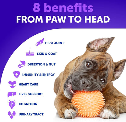 20 in 1 Dog Multivitamin + Glucosamine Chews Bundle - Chewable Vitamins for Hip & Joint Support, Immunity, Mobility, Skin & Digestion - Chondroitin, MSM