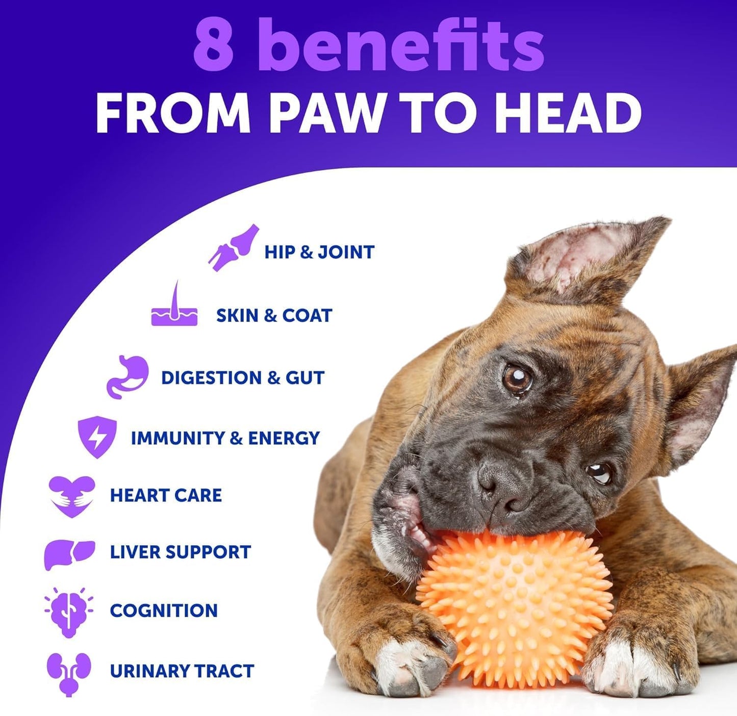 20 in 1 Dog Multivitamin + Glucosamine Chews Bundle - Chewable Vitamins for Hip & Joint Support, Immunity, Mobility, Skin & Digestion - Chondroitin, MSM