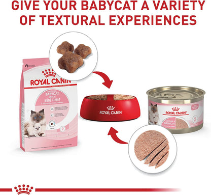 Royal Canin Feline Health Nutrition Mother & Babycat Queen Dry Cat Food, 3 lb Bag