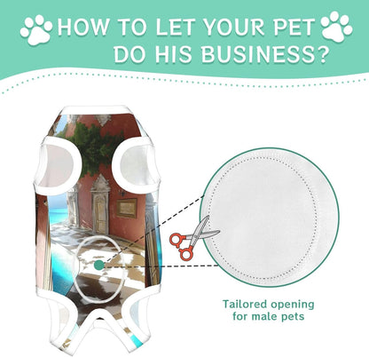 Blue Ocean Dog Surgery Suit Recovery Suit, 100% Cotton Breathable Full Body Dog & Cat Surgical Suit with Cute Prints, Alternative to Cone for Spay Neuter Wound Care, Male & Female Pets Large