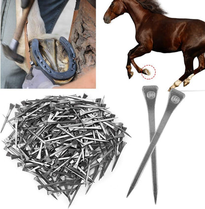 250PCS E6 Horseshoe Nails, Steel Hoof Pegs Horseshoe Nails with Good Elasticity for Horse Training, Secure Firmly, High Tensile Strength Farrier Tools, Lightweight