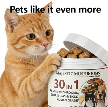 Majestic Mushrooms 30-in-1 Pet Soft Chews – Organic Mushroom Blend with Fish Oil & Coconut Oil, Chicken Flavor, Daily Wellness Treats for Dogs & Cats (50 Chews) (1pc)