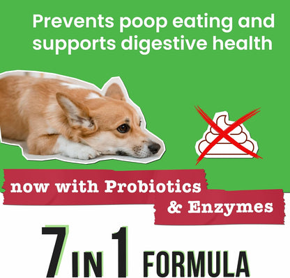 No Poo Chews for Dogs - Coprophagia & Stool Eating Deterrent with Probiotics, Digestive Enzymes & Breath Aid Support - Stop Dog Poop Eating - Made in USA - 120Ct (Beef Liver)