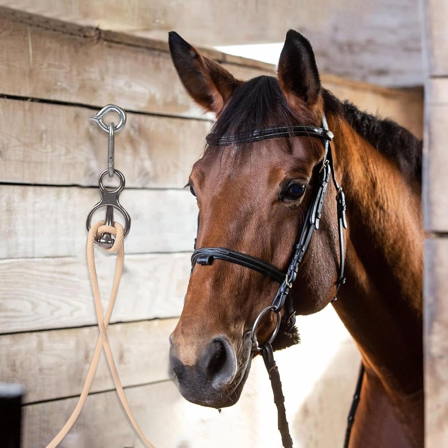 Horse tie Ring | Stainless Steel Heavy Duty Pull Back Release - Horse tack and Supplies | Indoor Outdoor Stall Stable for Horse Care