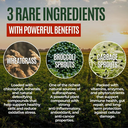 Gussy's Gut Youthful Grasses & Sprouts Dog Gut & Digestive Health Supplement- Human Grade Fermented Ingredients- Super Greens, Pre/Post & Probiotic All in One - Maintain Protocol