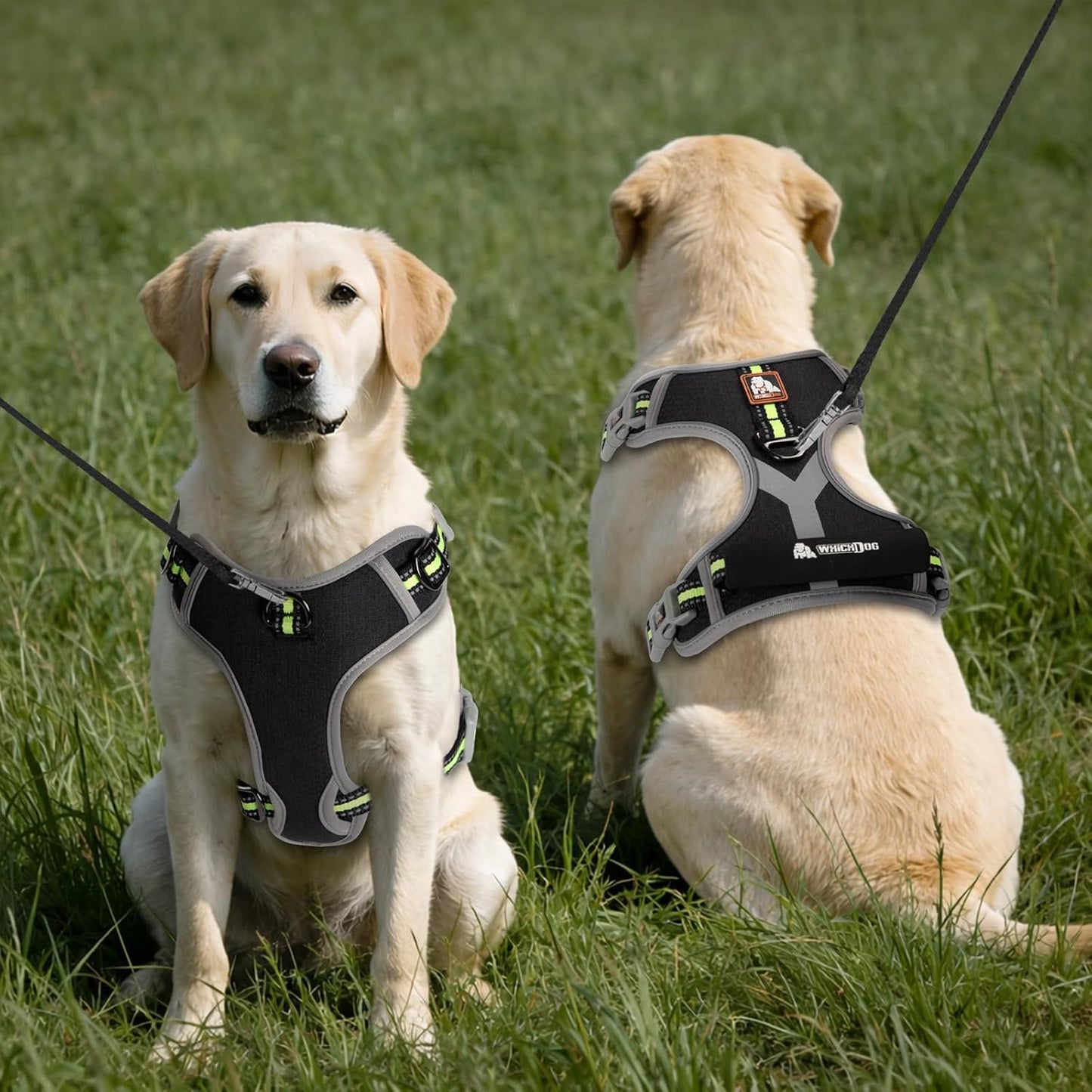 Dog Harness, No Pull Pet Vest Reflective Strip Escape Proof, Easy to Adjust Dog Harness with Escape Proof Function Suitable for Walking, Traveling and Training, Black, L