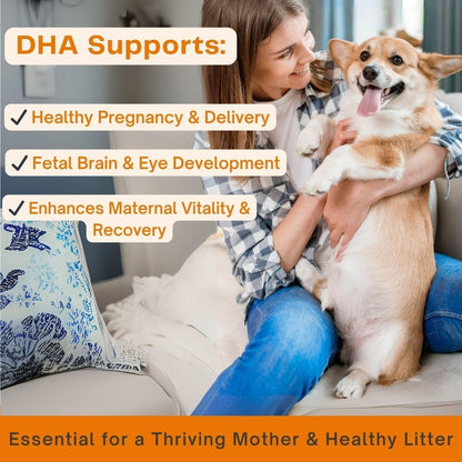 Omega 3 Fish Oil for Dogs & Cats | Dog Prenatal Vitamins | Joint Support | Brain & Heart Health | Pure EPA DHA Omega 3 for Dogs | 100 Soft Gels