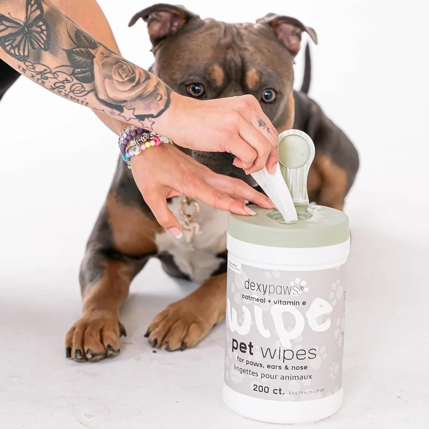 Dexypaws: Pet Wipes - Oatmeal & Vitamin E - 200ct Canister, Cleansing Wet Wipes, Cats & Dogs Grooming Care, Paws-Face-Ears-Nose, Moist-Gentle-Portable
