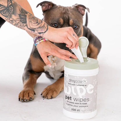 Dexypaws: Pet Wipes - Oatmeal & Vitamin E - 200ct Canister, Cleansing Wet Wipes, Cats & Dogs Grooming Care, Paws-Face-Ears-Nose, Moist-Gentle-Portable