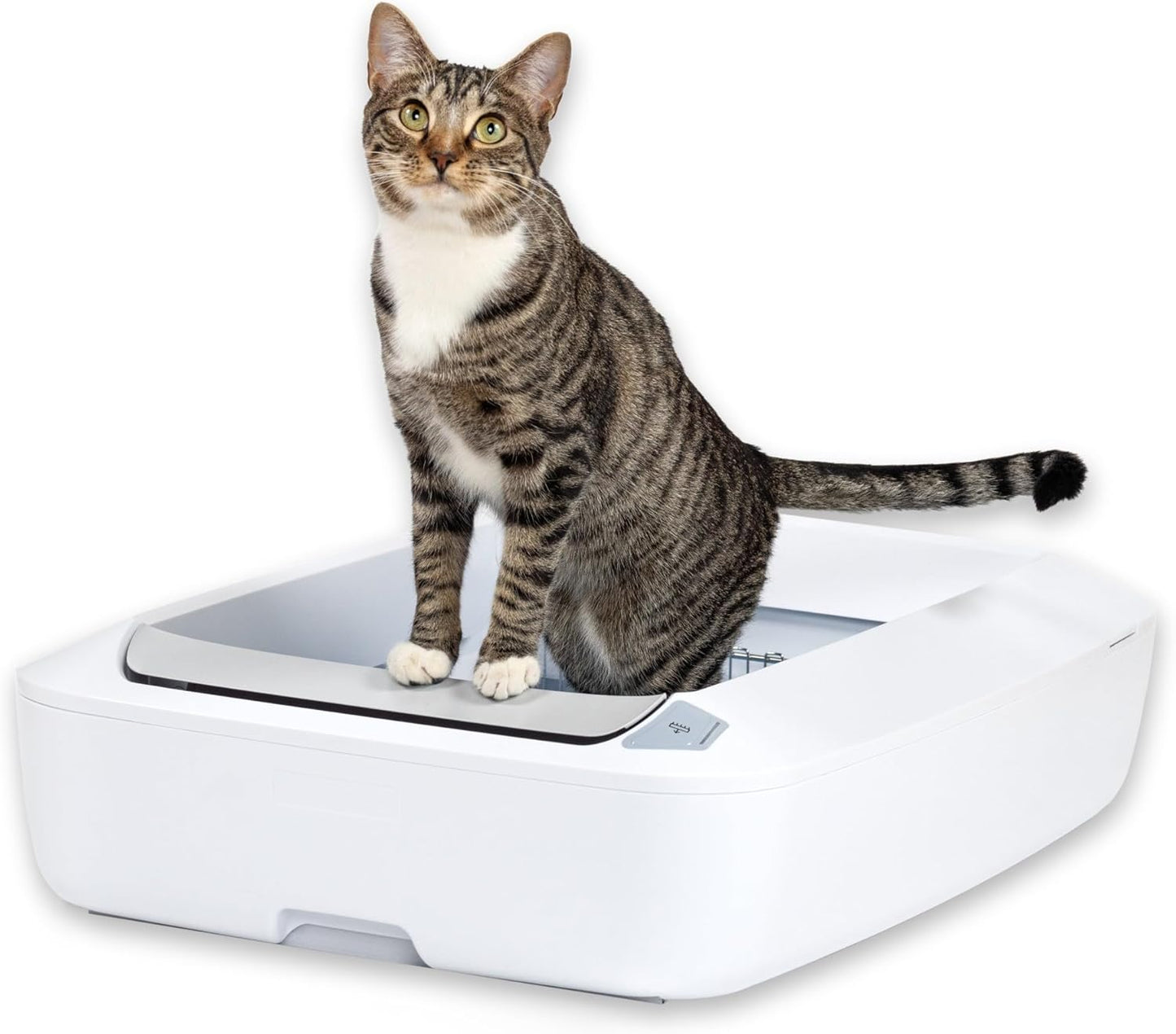 PetSafe ScoopFree Crystal Plus Automatic Self-Cleaning Cat Litter Box System – Not Enclosed – Advanced Odor Control – Includes 1 Disposable Crystal Litter Tray – White (PAL00-18016)