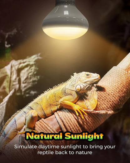 Reptile Heat Lamp 2 Pack, 100W Heat Lamp Bulbs for Reptiles, Amphibians Basking Heat Lamp Bulbs, UVA Daylight Basking Light for Reptiles, Bearded Dragon, Lizard, Turtle, Chicken