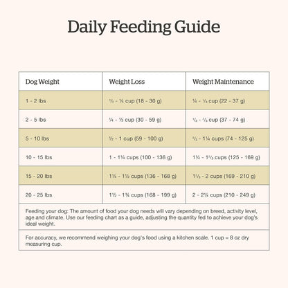 Now Fresh Good Gravy Premium Dry Dog Food with Chicken & Ancient Grains for Small Breeds, Healthy Kibble for Adults Coated in Bone Broth – Just Add Water to Moisten, Made with Real Meat, 12 lb Bag