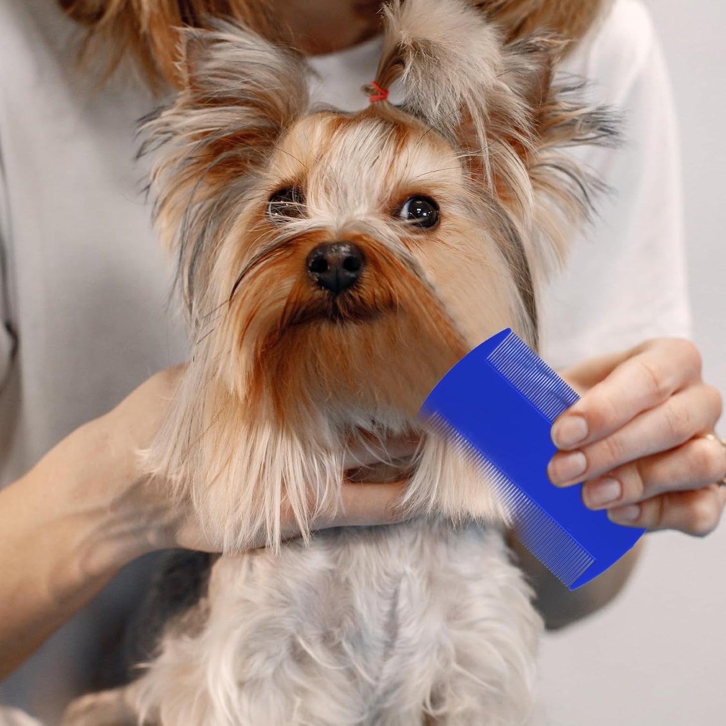 120 Pack Plastic Flea Lice Combs, Fine Tooth Flea Tick Comb, Double Sided Pet Combs, Cat Dog Hair Dandruff Removal Comb, Grooming Tools for Rabbit, Cat, Dog, Kitten, Small Pet (6 Colors)