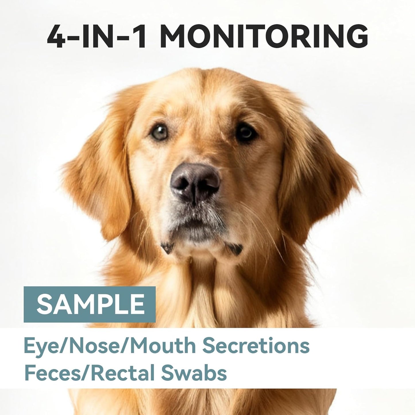 Home Check 4-in-1 Dog Wellness Kit 2 (Pack)