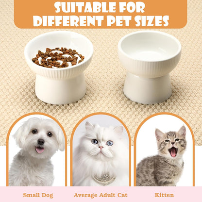 2 Pcs Raised Cat Slow Feeder Bowl Ceramic Elevated Cat Bowls, No Spill High Edge, Anti Vomiting for Pets Kitten Puppies Dry Wet Food and Water, Dishwasher Safe