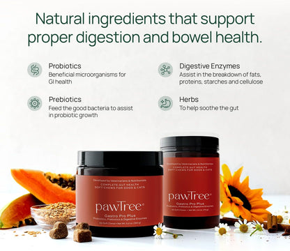 pawTree Bundle for Dogs & Cats – Freeze-Dried Raw Food (.5 lbs, Turkey) & Gastro Pro Plus (30 ct) – Complete Nutrition & Digestive Support