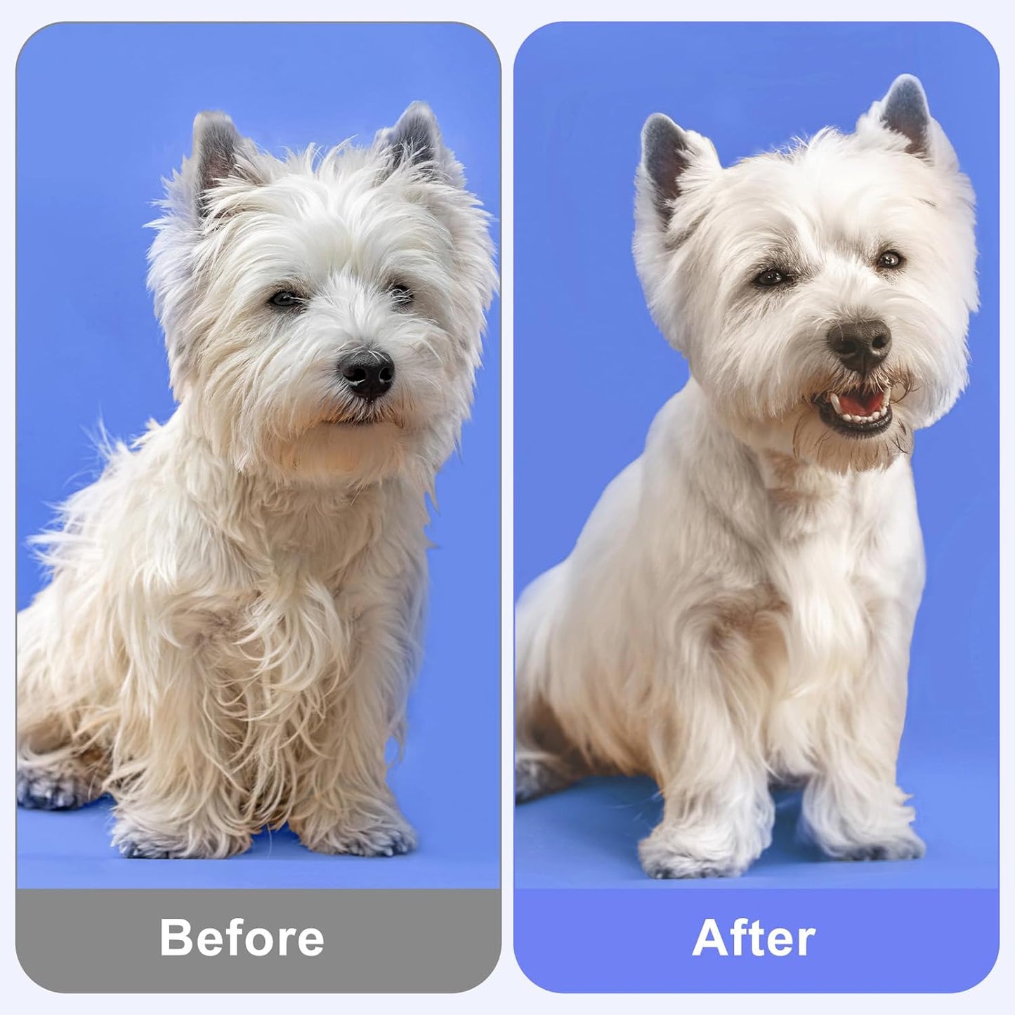 6-Pack Cat Flea Brush Flea Comb for Cats Stainless Steel Lice Comb Set Dog Brush Double-Sided Tear Stain Remover Pet Grooming Kit for All Types of Small Medium Large Pets (Blue)