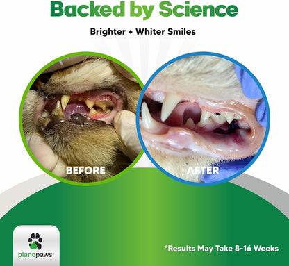 Cat Dental Care Powder - Easier Than Toothpaste - Alternative to Dental Treats for Plaque Removal - Teeth Cleaning Powder with Bactase PET - Breath Freshener for Bad Breath - Oral Care All Ages, Sizes