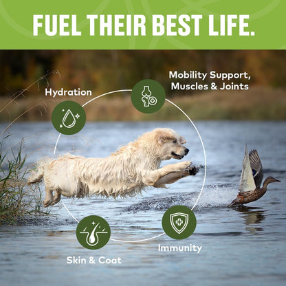 Furvor Beef Mobility Support Bone Broth Concentrate for Dogs - Collagen Protein Supplement - Boosted w/Amino Acids, Glucosamine, and Chondroitin - Dog Food Topper - Human Grade (16 oz, 30 Servings)