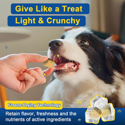 Dog Allergy Relief Chews, Dog Vitamins Multivitamin Powder