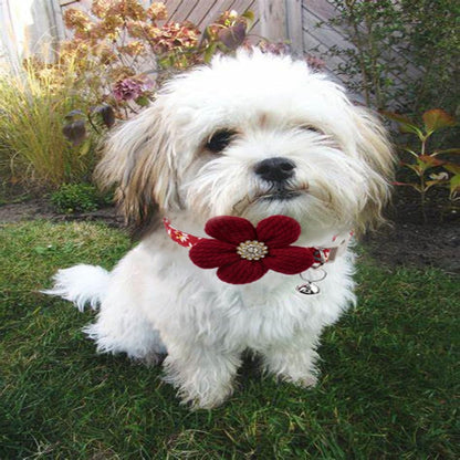 Red Flower XS Dog Collar Wth Bell, Dog Cat Collars Cute Puppy Collars Girls Adjustable for XXS Xs Small Pet Kitten Dogs Animal Litter Tiny