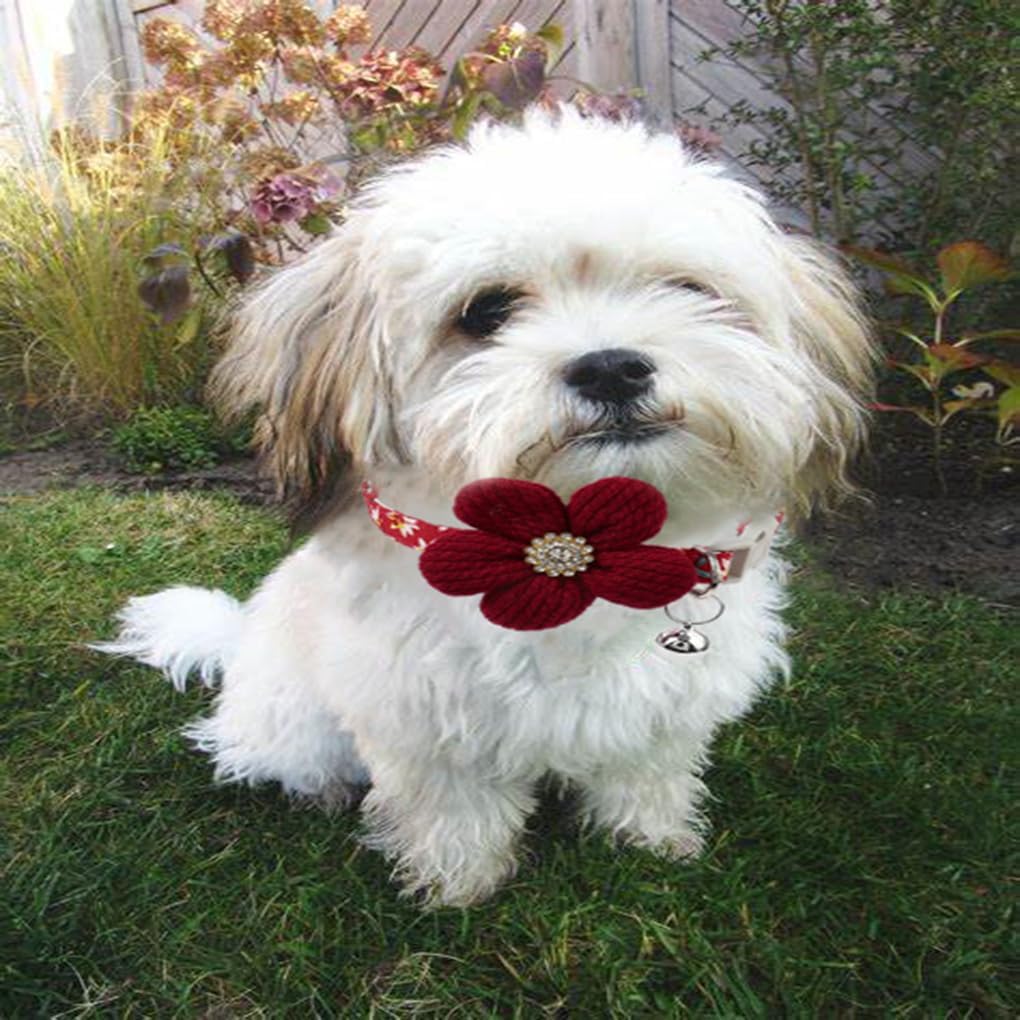 Red Flower XS Dog Collar Wth Bell, Dog Cat Collars Cute Puppy Collars Girls Adjustable for XXS Xs Small Pet Kitten Dogs Animal Litter Tiny