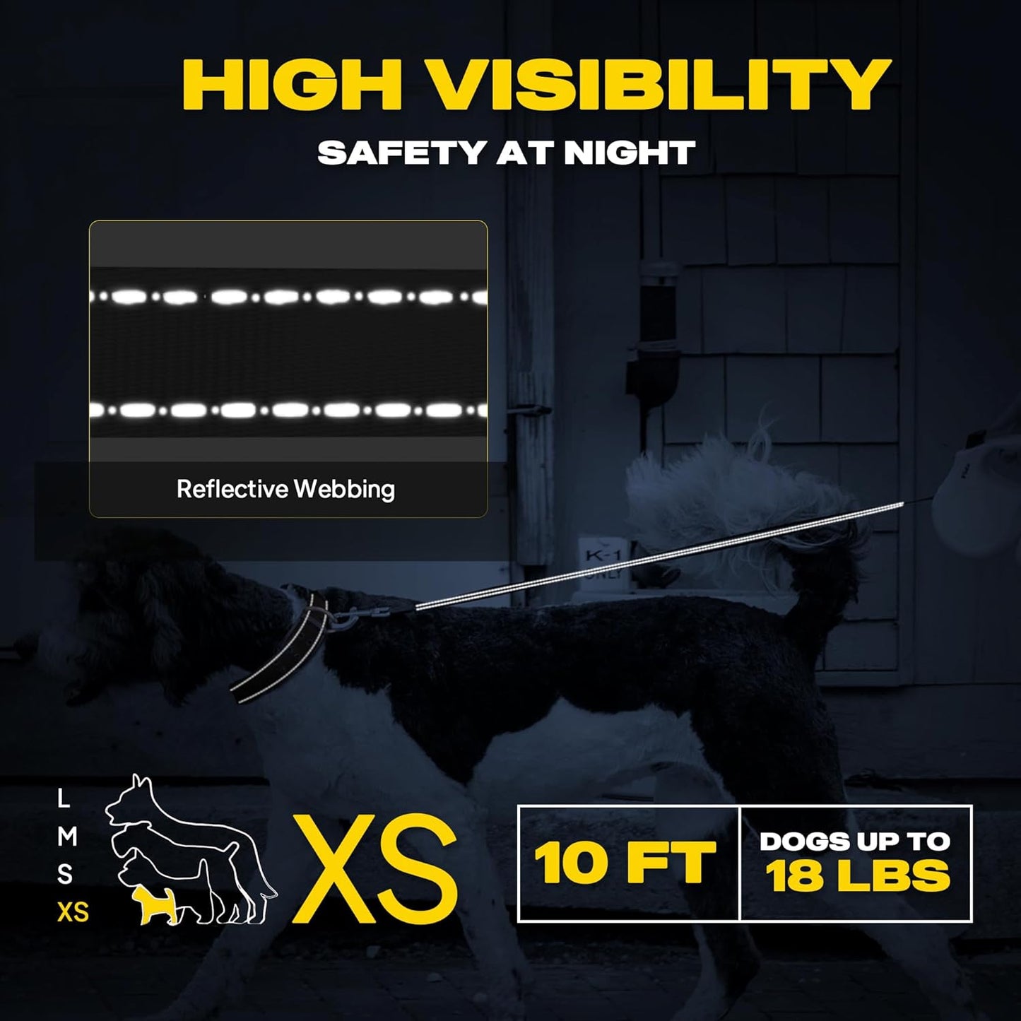 Fida Retractable Dog Leash with Dispenser and Poop Bags, 10 ft Pet Walking Leash for X-Small Dog or Cat up to 18 lbs, Anti-Slip Handle, Tangle Free, Reflective Nylon Tape (XS, Teel)