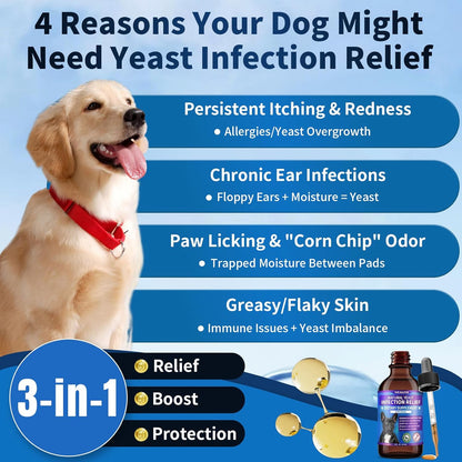 Dog Probiotic Chews + Yeast Infection Relief Drops Bundle – Gut & Yeast Balance Support | Promotes Healthy Digestion, Skin & Ear Wellness