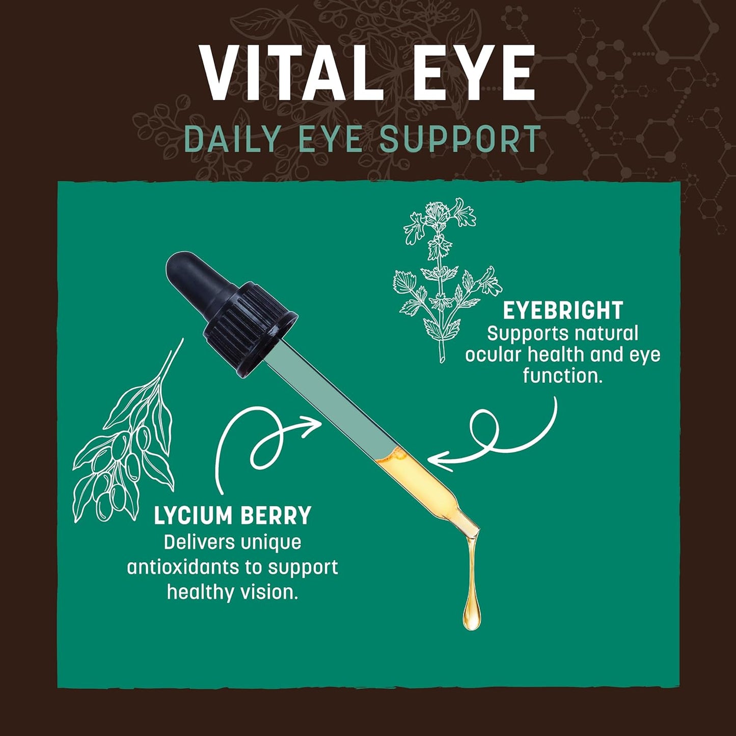 Earth Animal Apothecary Liquid Supplement - Vital Eye Herbal Remedies for Dogs & Cats - 2 fl oz