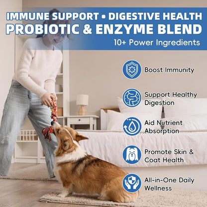 Probiotics Dog Allery Chews for Dogs, Improve Itchy Skin Itchy Ears, Yeast Balance, Gut Health, Probiotics (10 Billion CFU) for Dog Immune Health & Allergy Relief Chews + Vitamins Blend
