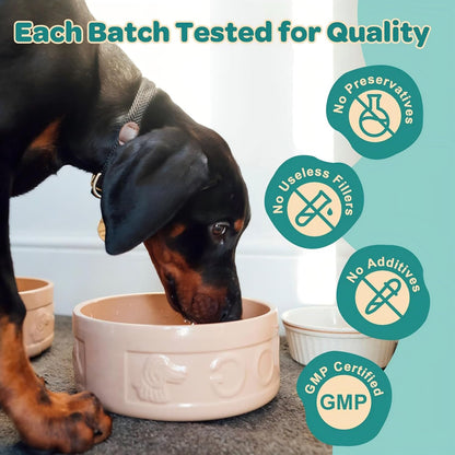 ZEBORA Probiotics for Dogs - Dog Probiotics, with Colostrum, Omega-3, Support Digestive Health, Seasonal Allergies, Itchy Ears, Dog Allergy Relief & Itching Skin Relief, 90 Scoops, Chicken Flavor