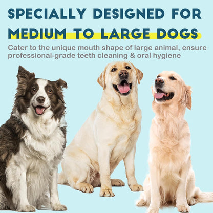 Dog Toothbrush Kit 4 Pack, Ultra Soft Dog Tooth Brush for Medium to Large Dogs & Cats, Pet Tooth Brushing Kit for Easy Dental Cleaning, Soft Bristles, 2 Green Wave Head & 2 White Flat Head