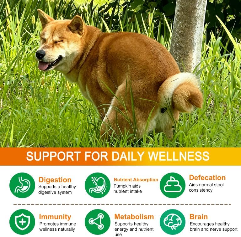 Pumpkin Powder for Dogs, Dog Supplement Support Immune Function & Disgestive, Gut Health Support, Pet Supplies Pumpkin Powder Helps with Stool, Diarrhea, Constipation Relief - 7.05 oz(200g)
