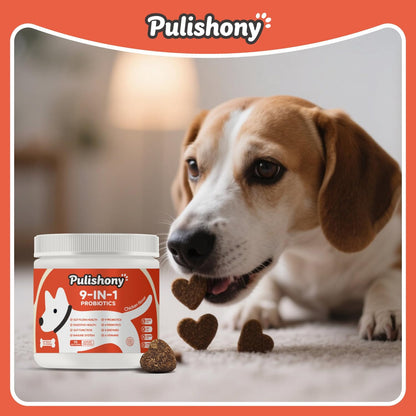 Probiotics for Dogs -Digestive Enzymes for Gut Flora, Digestive Health, Diarrhea & Bowel Support -9 in 1 Probictics- Dog Supplement Soft Chew for Pet Immune System - Chicken-（90Count）