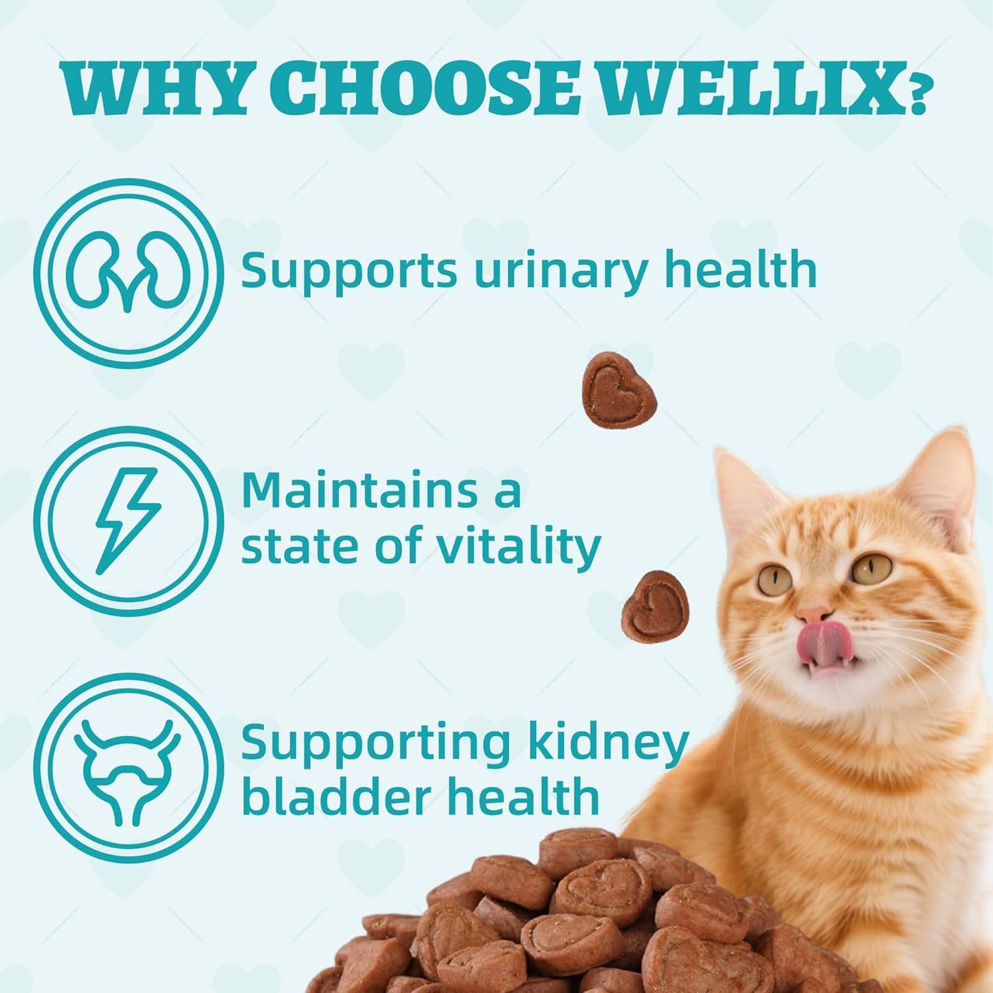 Wellix 13.5oz Urinary Tract Health Supplement Cat Treats for Indoor Cats - Chicken Flavor Kitten Snacks for Support Kidney Bladder & Urinary Health Cat Training Biscuits - Add Dandelion & Cranberry