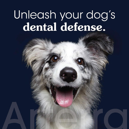 Remineralizing Dog Toothpaste – Vet-Grade, with Nano-Hydroxyapatite, Reverses Early-Stage Decay, Cleans Teeth, Reduces Tartar, Freshens Breath by Arterra Pet Science, Plant-Based, Natural Flavor, 3oz