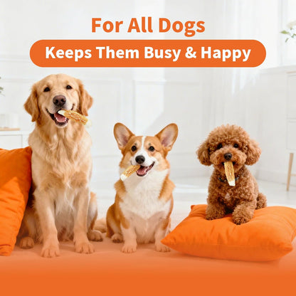 Dog Treats Chews, Chicken Wrapped Rawhide Sticks - Dog Snacks, High Protein, Free Grain & for Medium Large Dogs, 4.23 oz(4 Count)