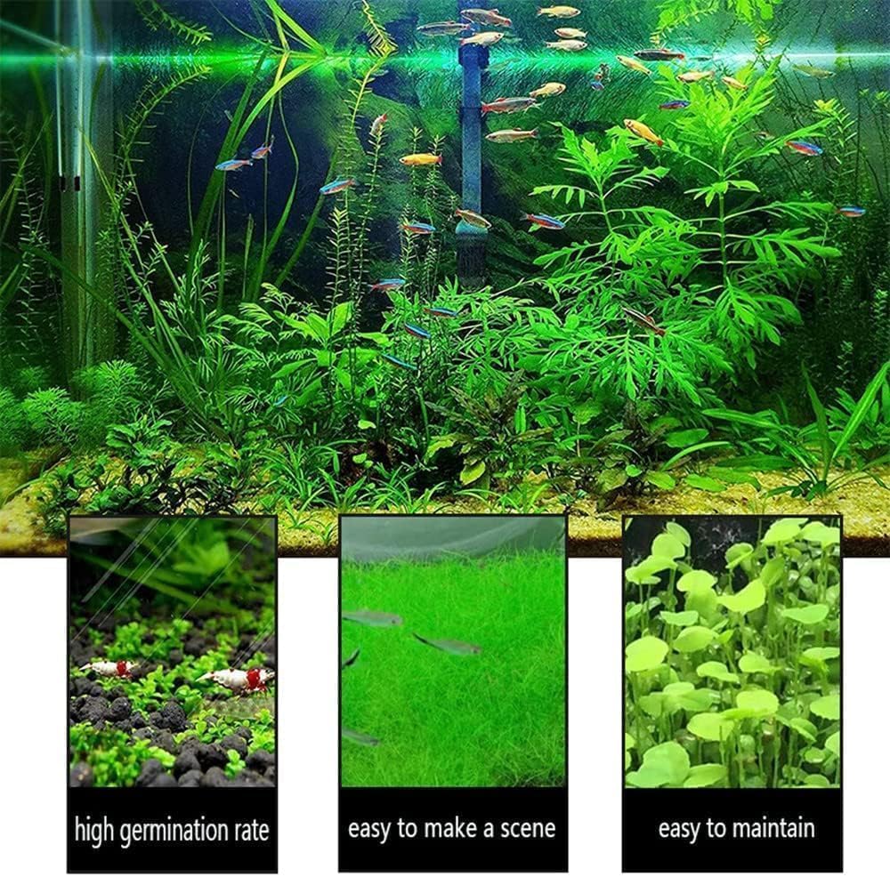 4 Bags Aquarium Plant S.e.e.ds, not Artificial Plastic Plant, Fish Tank Live Grass for All Substrate