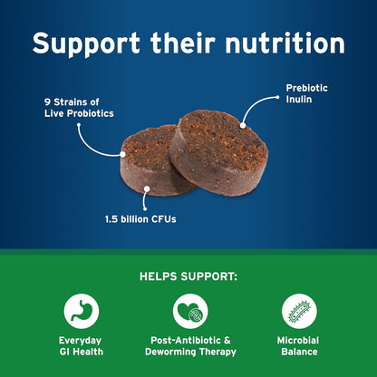 Pet Protect Digestive Health Supplement with Probiotics for Dogs, Vet-Formulated Lactoquil, Chicken-Flavored Soft Chews (60 Count)