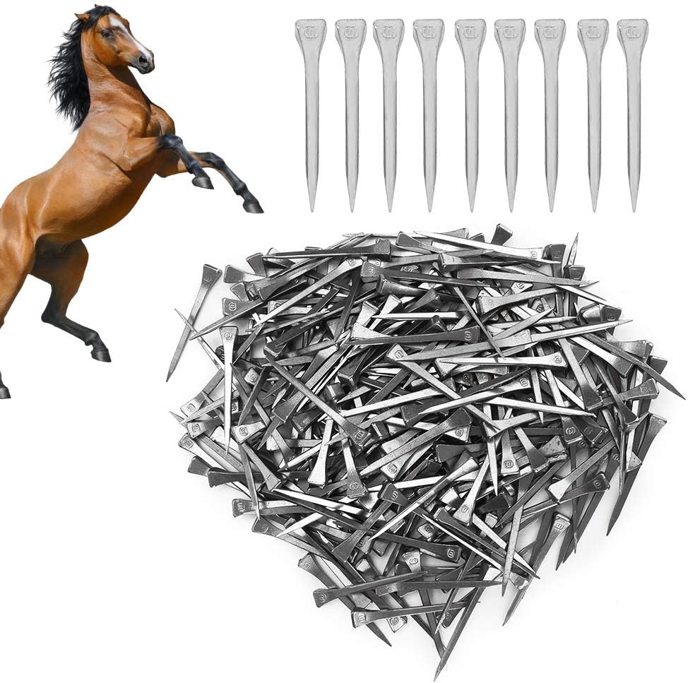 250PCS E6 Horseshoe Nails, Steel Hoof Pegs Horseshoe Nails with Good Elasticity for Horse Training, Secure Firmly, High Tensile Strength Farrier Tools, Lightweight