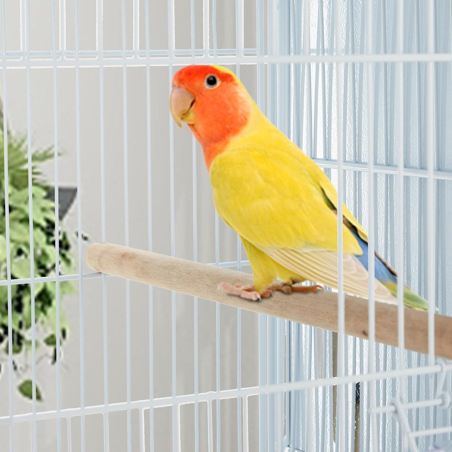 Garvee Bird Cage, 69''H LOT-4 Stackable Breeding Bird Cage, Divided Finch Breeder Cage w/IndividualRemoveble Tray, Application for Conure,Macaw,Budgie,Cockatiel,Lovebirds,Parakeet
