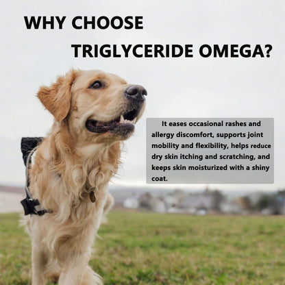 Triglyceride Omega for Dogs & Cats - Wild-Caught Fish Oil with EPA/DHA & Vitamins A,D3 | Tasteless Softgels for Skin, Coat & Whole-Body Vitality，100 Soft Gel