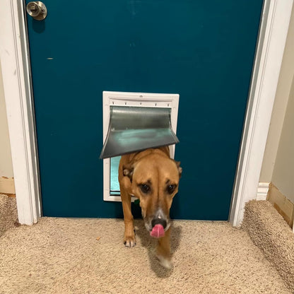 2PACK Large Pet Door Replacement Flap with Screws, Compatible with PetSafe Freedom PAC11-11039 10 1/8" X 16 7/8" (Smoky Translucent)