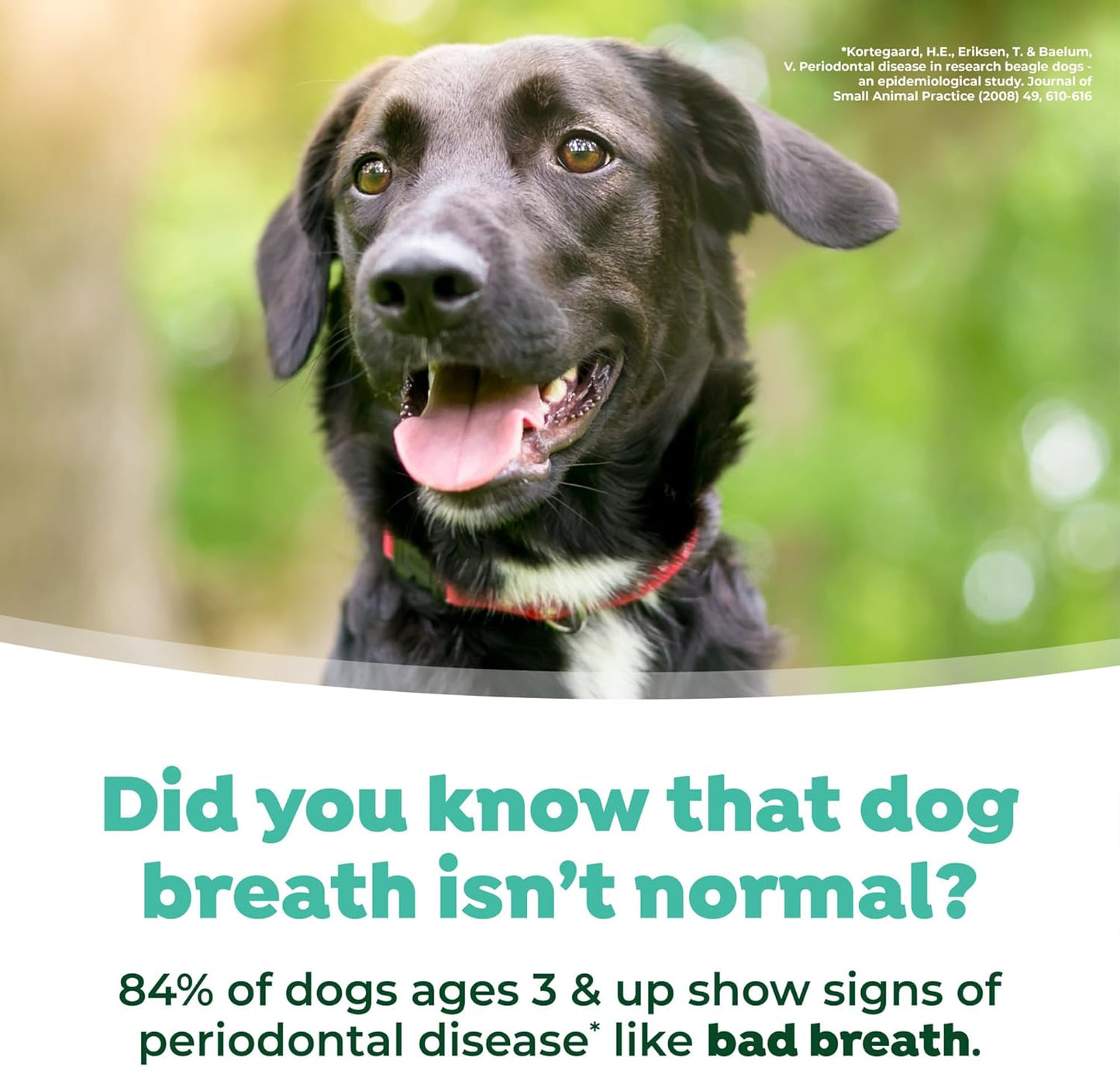 TropiClean Fresh Breath Water Additive for Dogs, Dog Breath Freshener and Teeth Cleaning Solution, No Toothpaste or Toothbrush Required, 33.8oz.