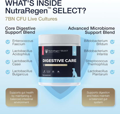 Select Senior Dog Digestive Probiotic Powder and Dental Support Bundle | Pet Dental Powder & Dog Breath Freshener, 7 Bn CFU | 60 Servings, 6.7 oz