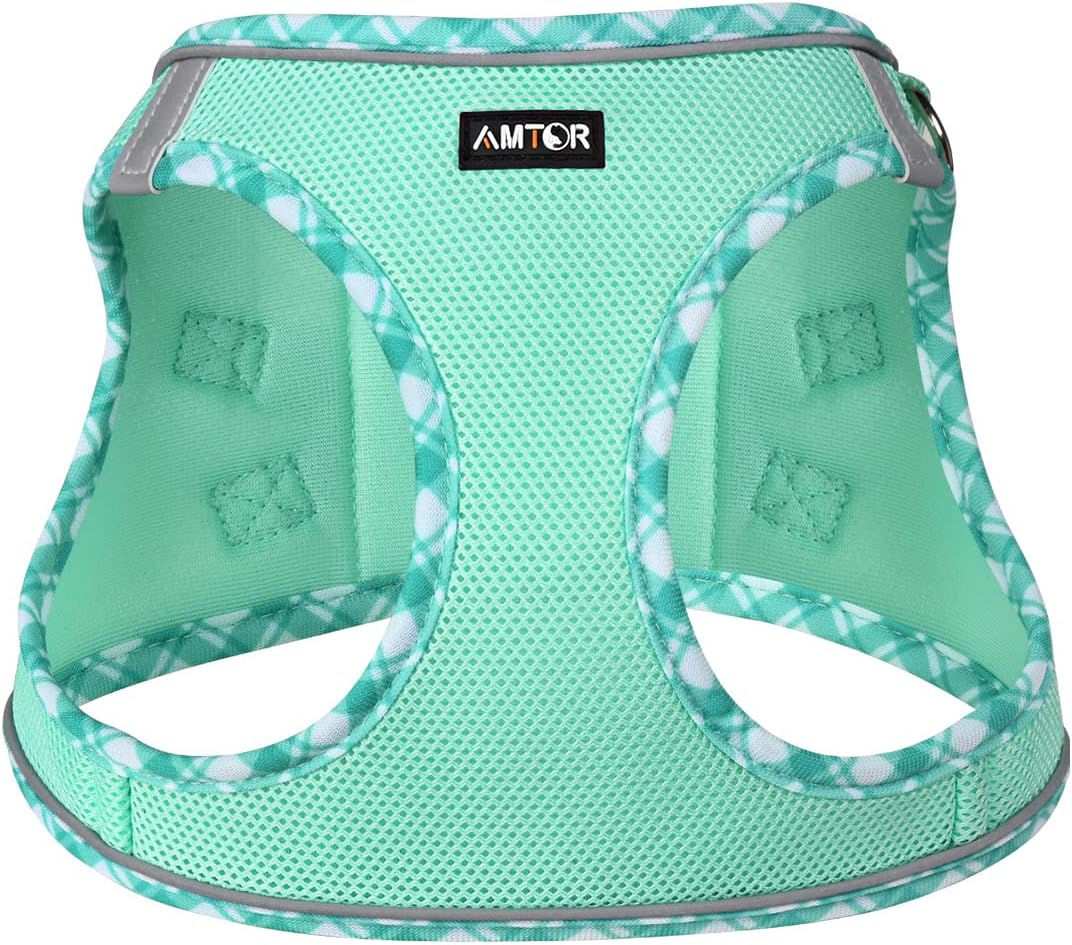 AMTOR Small Dog Harness with Leash Set, No Escape Easy Walk Puppy Harnesses for Training Walking, Step-in Reflective Soft Dogs Vest for XS S Medium Extra-Small Large Sized Dog(Green,S)