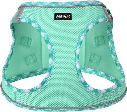 AMTOR Small Dog Harness with Leash Set, No Escape Easy Walk Puppy Harnesses for Training Walking, Step-in Reflective Soft Dogs Vest for XS S Medium Extra-Small Large Sized Dog(Green,S)